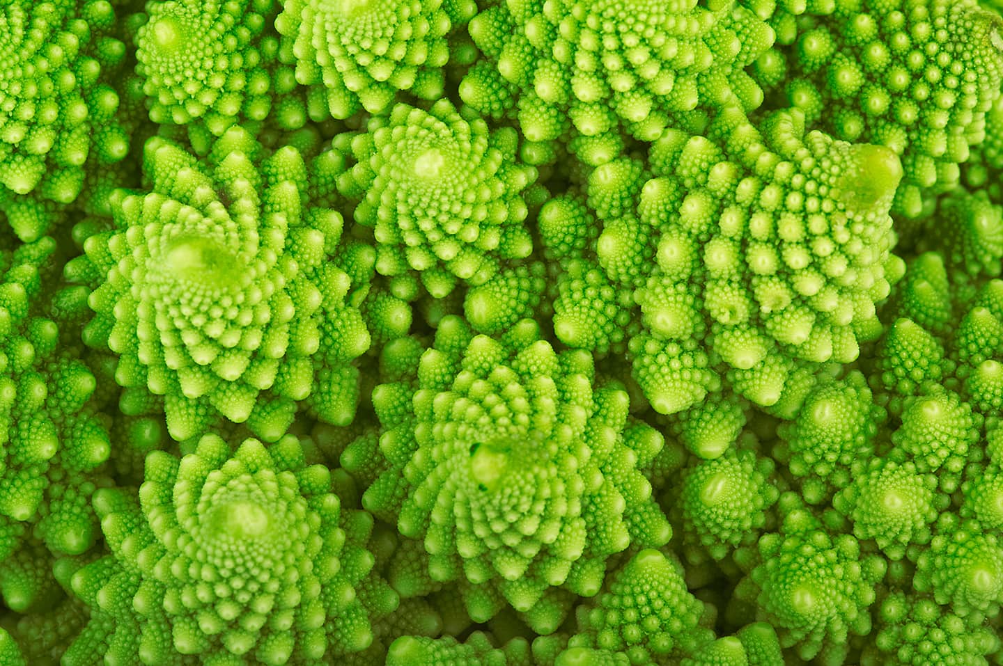 green texture background