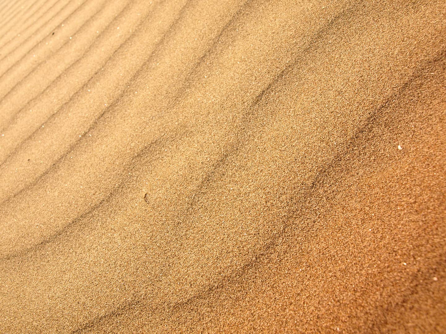 Patient Estimation sand